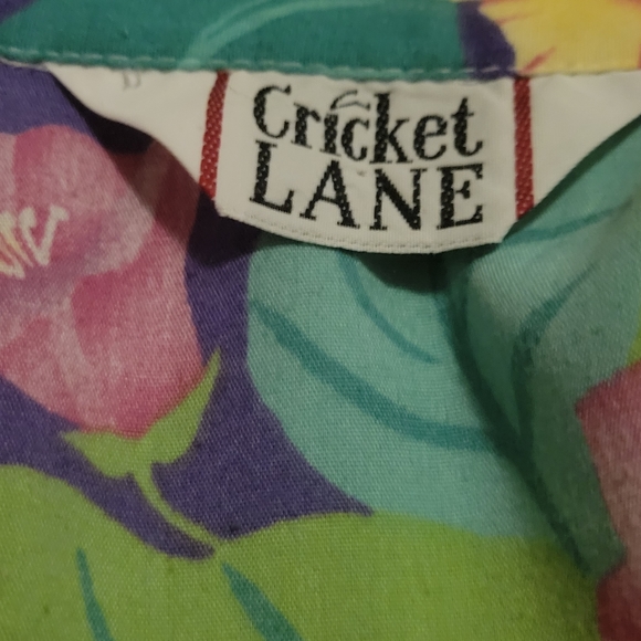 Vintage Cricket Lane Button Down Shirt Size Large - Picture 2 of 6